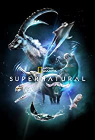 Watch Free SuperNatural (2022-)