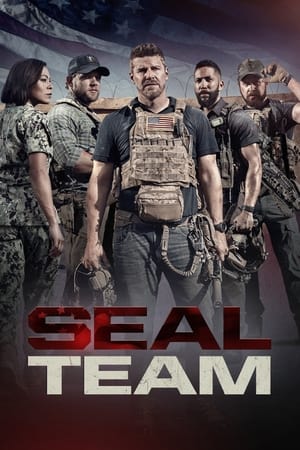 Watch Free SEAL Team (2017)