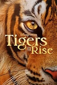 Watch Free Tigers on the Rise (2024)